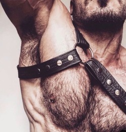 beardburnme:  pedrao_gyn Instagram