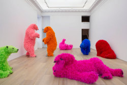 Excdus:  Ok, You Are Better Than Me, So What? Paola Pivi