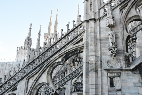 If you have the chance to go to Milan one day, don’t forget to climb on its Duomo (Cathedral) and li