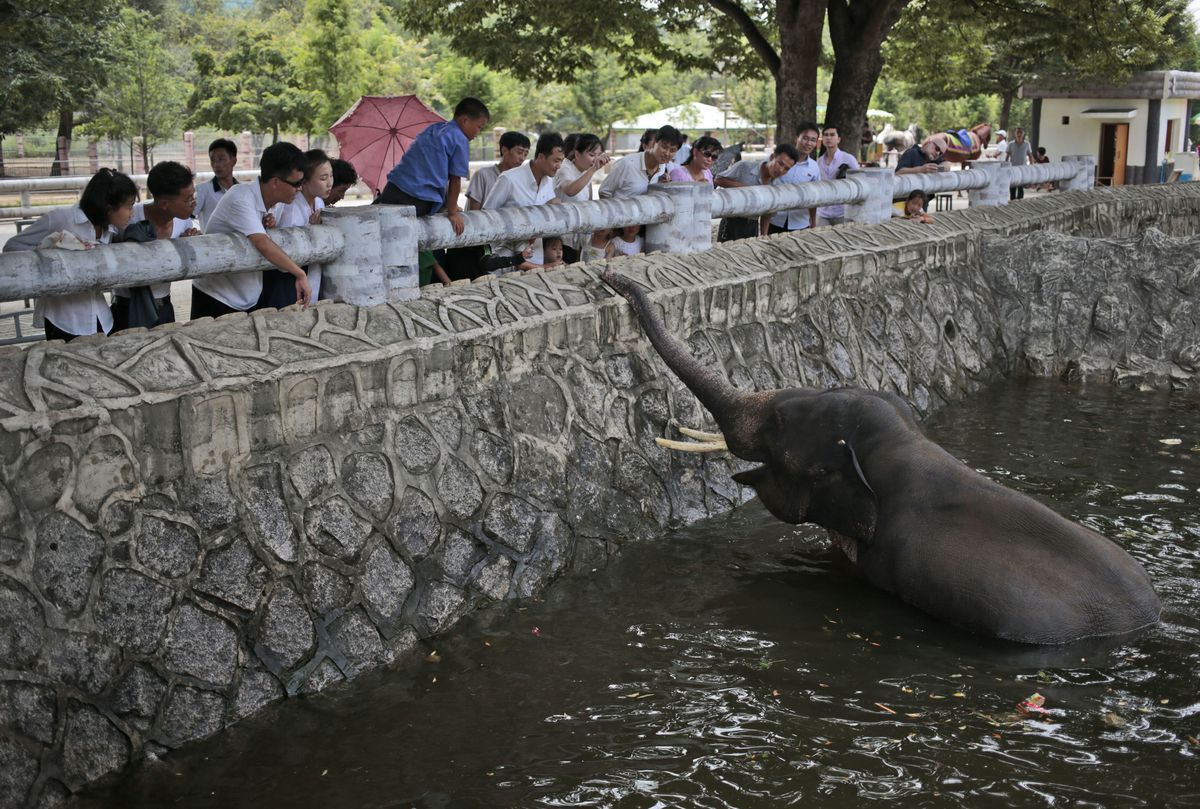 fotojournalismus:  A Day at the Zoo in Pyongyang (August 23, 2016)Photos by Dita