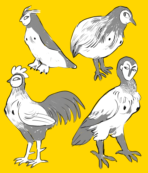 Unusual Harpies