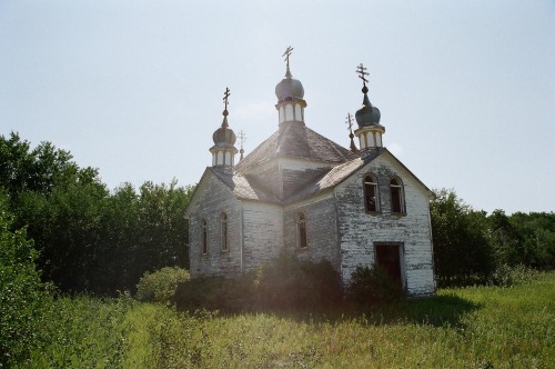 Overgrowth in Northern Manitoba by Chloe Elizabeth