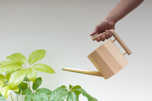 COOPER Watering Can by Stephen RoyMade from coopered rock maple, a brass spout from studiokyss and c