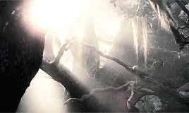 orlandobloom:Yavanna was one of the Aratar and was next to Varda in reverence. She was the elder “si