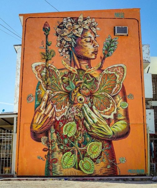 guanajuatolindo: crooksacademy:Gonzalo Areuz  - Culiacán Mexico  Wow