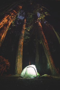 wnderlst:   Pfeiffer Big Sur State Park ↝ Jonathan H. Lee        