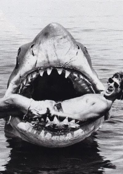 astray-wolf-heart:  salmioch:  Come and drool =;;)  Bruce the mechanical shark from