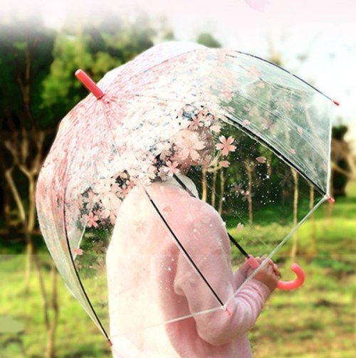 tanuki-kimono:Echoing the komorebi umbrella, here is a lovely cherry blossoms transparent umbrella t