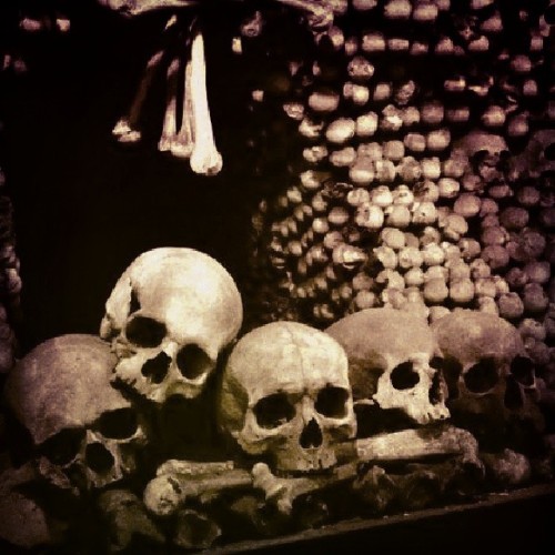 dirtanddecadence:  Current mood. Sedlec Ossuary. Kutna Hora, Czech Republic. June 2012. 
