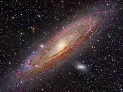 The Great Andromeda GalaxyImage credit:Leonardo Orazi