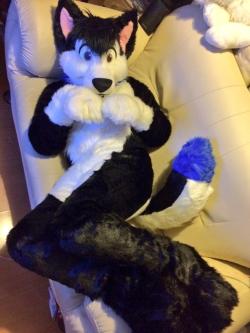 techtiggie:  RT @ShanieTX: @dannyblue91 in