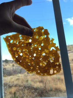 daily-slabs:  Chem vally kush nug run