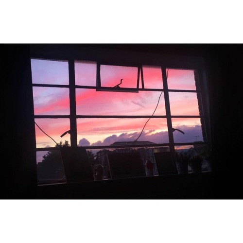 The view out of our living room window was so pretty earlier #sunset 💜💙💕 (at Wood Green)