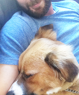 stan-evans:“I snagged [Dodger] and he’s such a good dog. They aged him at about