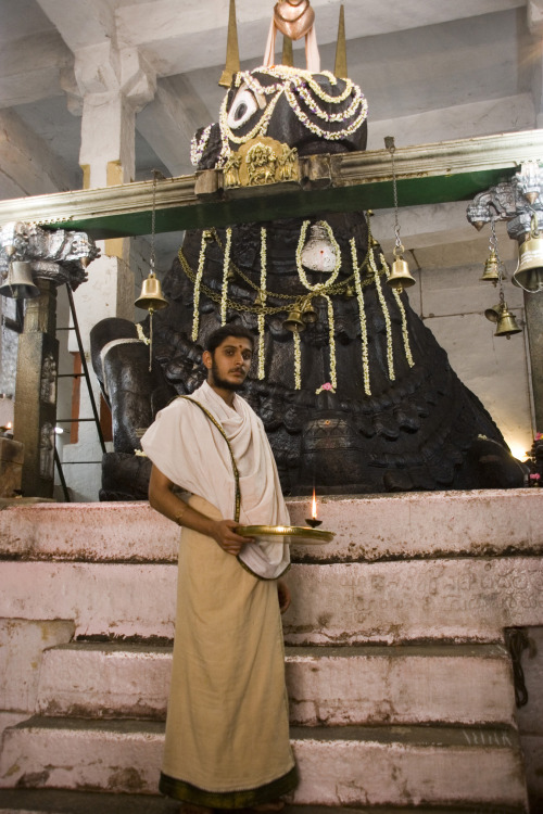 Nandi and priest from Bangalore 