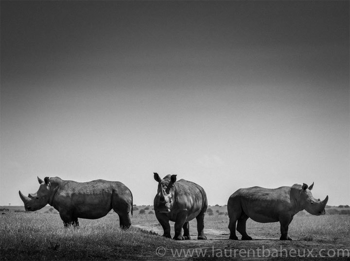 Laurent Baheux