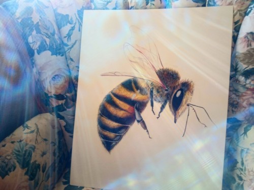 professorcoolcollections:  20x16 Bee painting sold by Zaiguu