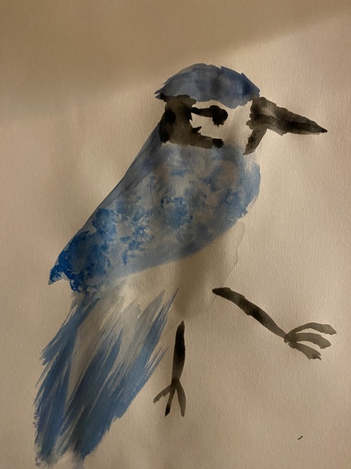Birdtober Day 7!!!
