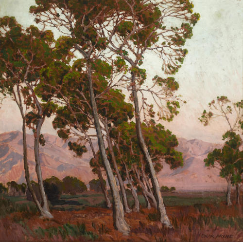 catonhottinroof:Edgar Payne (1883 - 1947)Trees along the foothills