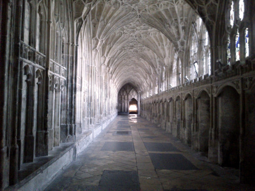 lemonsadventures:Gloucester Cathedral’s cloisters, Gloucester, England