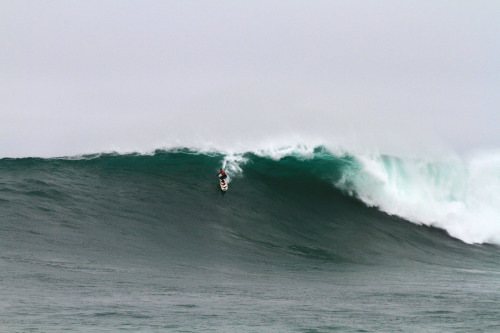 aspworldtour:  Pico Alto - 2011  Surfer | Carlos Burle Photo: Gonzalo Barandiaran