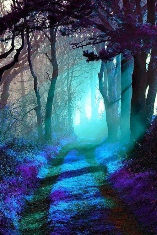 Porn plasmatics-life:  Somewhere in the forest photos