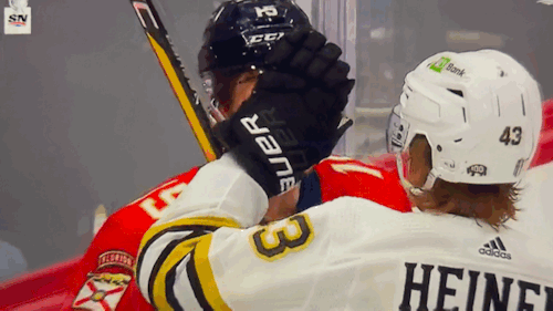 NHL Hockey Be Like: 