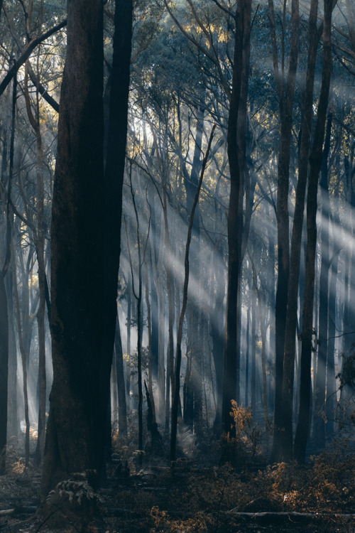 hullocolin: by Jaccob McKayInstagram | Tumblr | Facebook