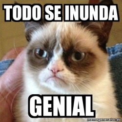futubandera:  un saludo para la catalina que pasa puro llorando :)