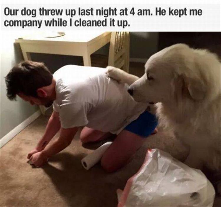pr1nceshawn:  Life with pets. 