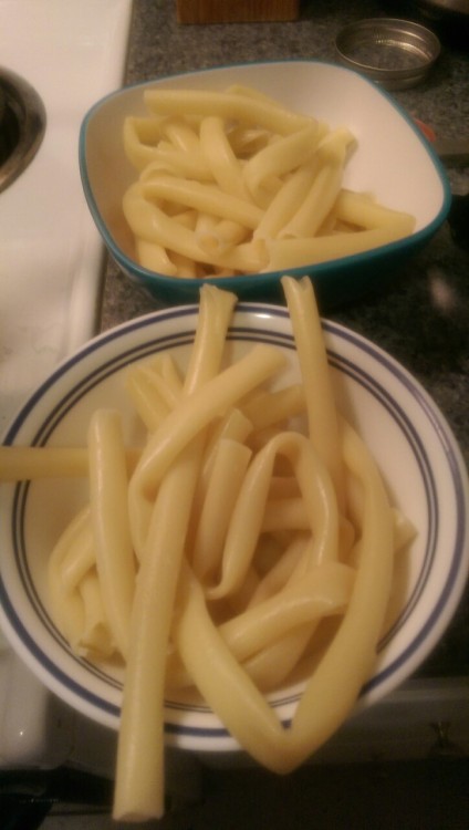 elemeno-pee:mitochondriaandbunnies:Dan and I bought a thing called “long ziti” from the local Weird 