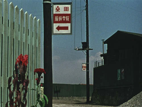 verachytilovas:LATE AUTUMN ‘秋日和, Akibiyori’ (1960) dir. Yasujirō Ozu