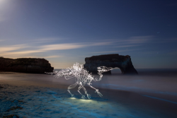 sixpenceee: Light Fossils by Darren Pearson, is a beautiful series of Light Paintings of dinosaurs.  