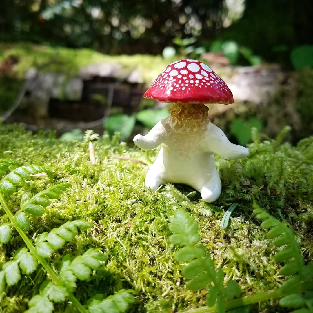 woodland-sorcery:  sosuperawesome:  Funguise Figurines / Brooches Wicked West on