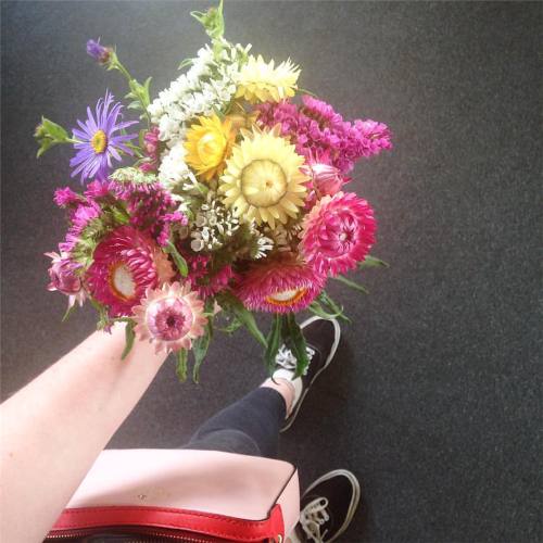 First job of the day, go into the meadow and pick a bunch of flowers #pretty #flowers #fashionblogge