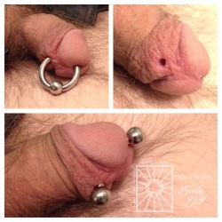 beckyadorned:  3-4 month old PA piercing.