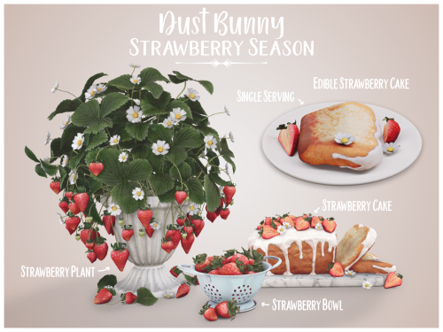 Strawberry Season