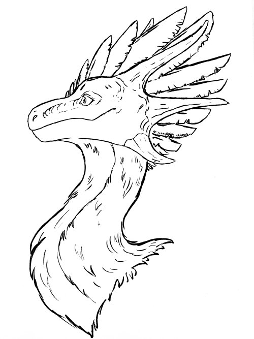 irilumina: more blank coloring pages for yall! Wildclaws are MUCH easier to draw than imperials wow