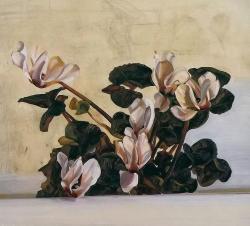 cinoh:  Lucian Freud / Cyclamen / 1964