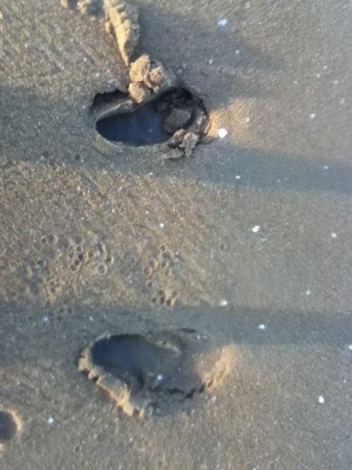 I was at the beach yesterday and my footprints were so small and weirdly shaped, they looked like ho