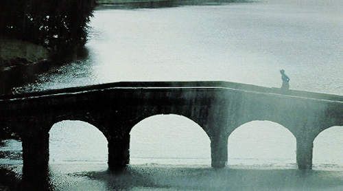 liziebennets:What are men compared to rocks and mountains?Pride and Prejudice (2005) dir Joe Wright