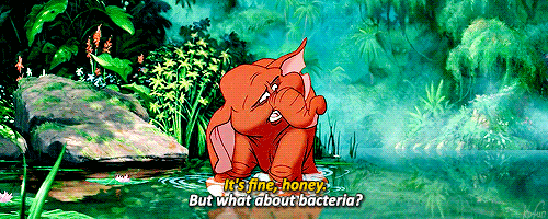 Hey, Disney Lovers!