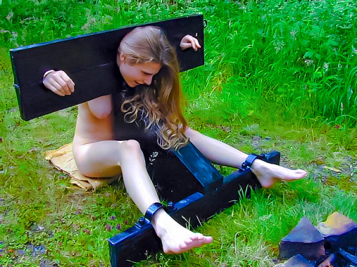 XXX xsog:  In DomSub land, stocks and pillories photo