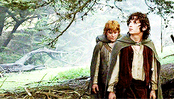 wrathandruin-blog:  lotr + looking down 