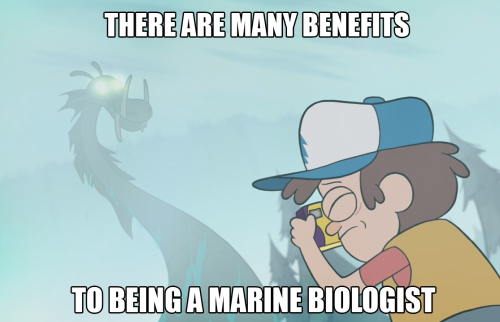 mistrelfox:I have literally just learned of the marine biologist meme and had to make some GF ones&n