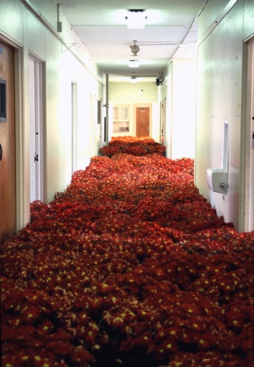 Bloom III at Massachusetts Mental Health Centerby Anna Schuleit