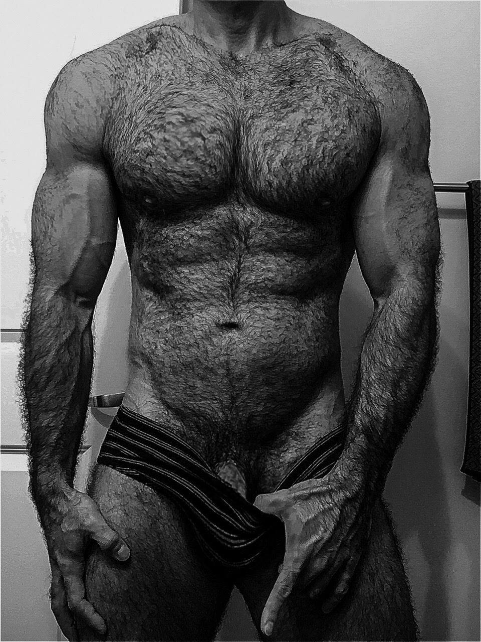 Hairy Chest Perfection
