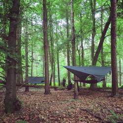 stefroberts:  Hammock camping with the Staleys