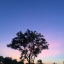 eternlpeace