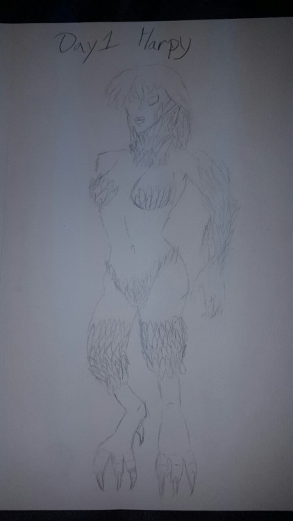 Day 1 harpy   Started a 30 day monster girl drawing challenge. Sorry I haven’t drawn in a few years so I apologize if my art isn’t very good. But this is the start of an effort to improve.